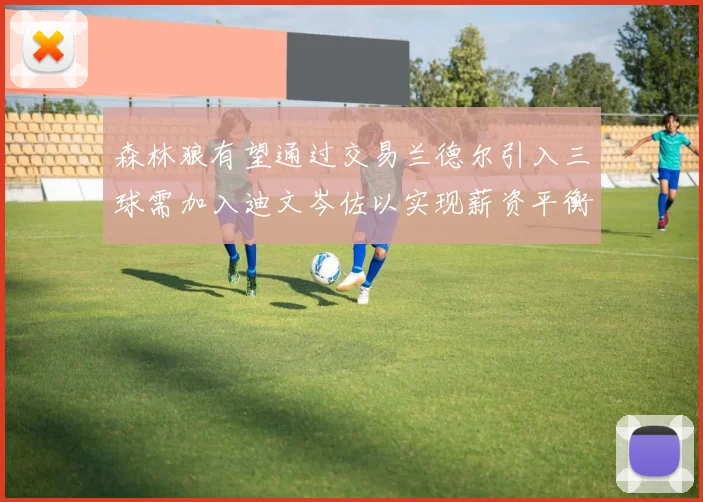森林狼有望通过交易兰德尔引入三球需加入迪文岑佐以实现薪资平衡