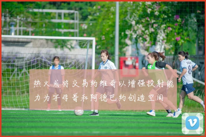 热火或将交易约维奇以增强投射能力为字母哥和阿德巴约创造空间