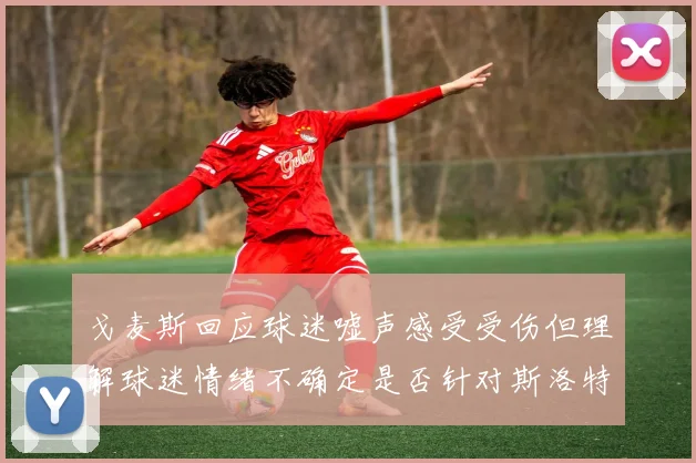 戈麦斯回应球迷嘘声感受受伤但理解球迷情绪不确定是否针对斯洛特